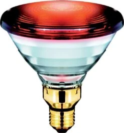 Philips Infraroodlamp PAR38 IR - 150W E27 230V - Rood 12887415
