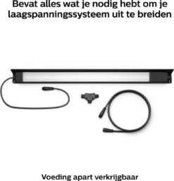 Philips Hue Amarant Verstraler - Wit En Gekleurd Licht - Zwart - Laagspanning -Philips 1148x1200