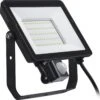 Philips - Decoflood - Floodlight - Zwart - 1x50W - Met Sensor