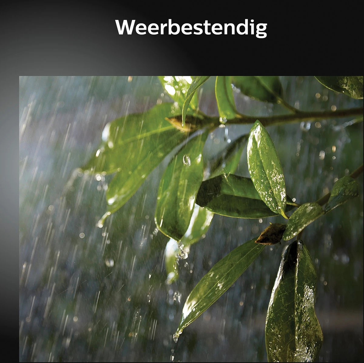 Philips Hue Outdoor Welcome Floodlight Schijnwerper - White - Zwart - 15W - IP44 13 Philips Hue Outdoor Welcome Floodlight Schijnwerper - White - Zwart - 15W - IP44 - Afbeelding 13