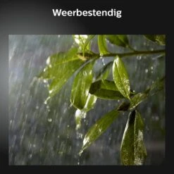 Philips Hue Calla Sokkellamp - Wit En Gekleurd Licht - Zwart - Laag - Laagspanning - Uitbreiding -Philips 1200x1200 487