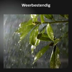 Philips Hue Lily Tuinspot Starterspakket - Prikspot White And Color Ambiance - Prikspots Voor Buiten - Tuinverlichting - 2 Spots - Zwart -Philips 1200x1200 586