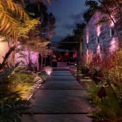 Philips Hue Amarant Verstraler - Wit En Gekleurd Licht - Zwart - Laagspanning -Philips 1200x1200 629