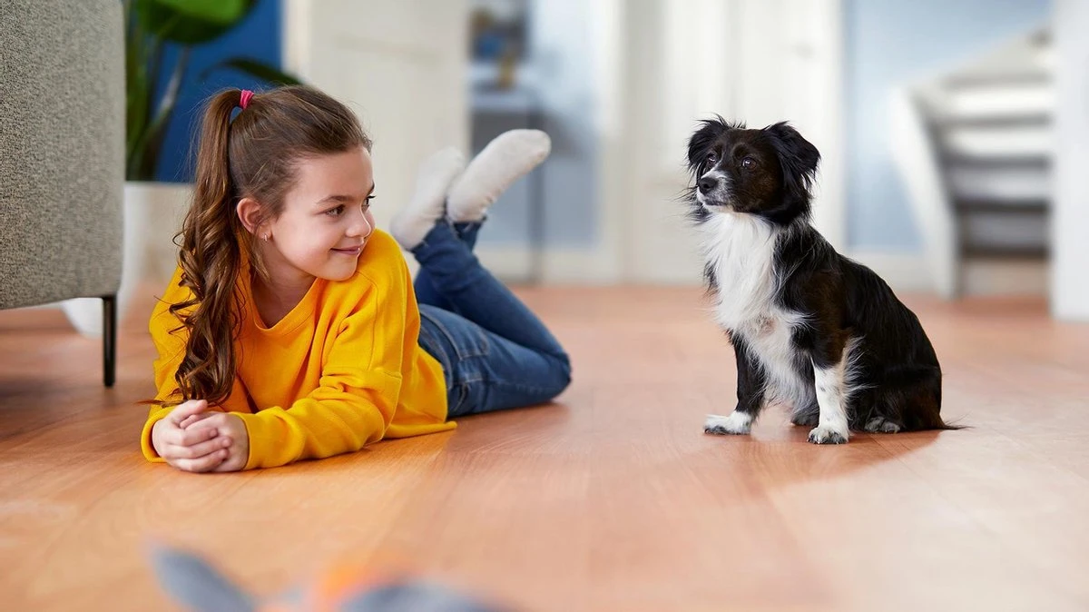 Philips 2000 Series XB2125/09 - Stofzuiger Zonder Zak 10 Philips 2000 Series XB2125/09 - Stofzuiger Zonder Zak - Afbeelding 10