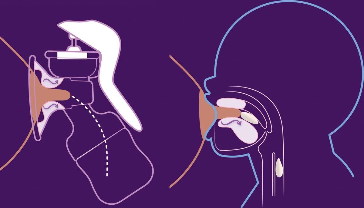 Philips Avent SCF430/01 - Borstkolf - Handmatig 4 Philips Avent SCF430/01 - Borstkolf - Handmatig - Afbeelding 4