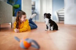 Philips Performer Silent FC8782/09 - Stofzuiger Met Zak 29 Philips Performer Silent FC8782/09 - Stofzuiger Met Zak -Philips 1200x800 506