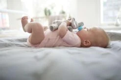 Philips Avent Fopspeen Knuffel - 0-6 Maanden - Olifantje -Philips 1200x800 94