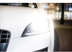 Philips White Vision H7 55W/12V Halogeen Lampen, Set à 2 Stuks -Philips 1200x854 1