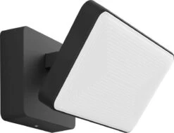 Philips Hue Outdoor Welcome Floodlight Schijnwerper - White - Zwart - 15W - IP44 36 Philips Hue Outdoor Welcome Floodlight Schijnwerper - White - Zwart - 15W - IP44 -Philips 1200x921
