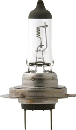 Philips LongLife EcoVision H7 Set -Philips 701x1200 3